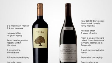 Is Expensive Wine Worth It? | Wine Folly