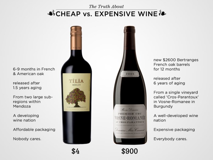Is Expensive Wine Worth It? | Wine Folly