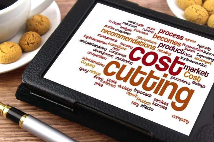 Cost Cutting - Tablet image Cost Cutting - Tablet image