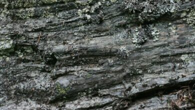 Stone veneer siding installation